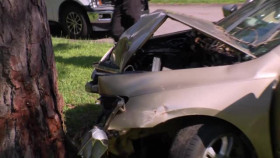 Cops S35E28 XviD-AFG EZTV