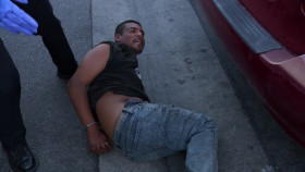 Cops S35E31 1080p HEVC x265-MeGusta EZTV