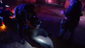 Cops S35E33 720p WEB h264-BAE EZTV