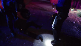 Cops S35E33 XviD-AFG EZTV