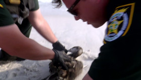 Cops S36E05 1080p HEVC x265-MeGusta EZTV