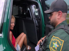 Cops S36E15 480p x264-mSD EZTV