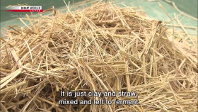 Core Kyoto Mini S01E38 Kyoto Walls Gracefulness Molded from Earth 1080p HDTV H264-DARKFLiX EZTV
