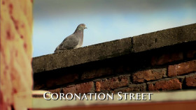 Coronation Street S64E136 1080p WEB-DL AAC2 0 H 264-NTb EZTV