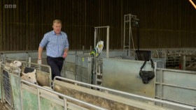 Countryfile S36E36 720p HDTV x264-NGP EZTV