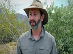 Coyote Peterson-Brave the Wild S01E00 Coyotes Journal The Dynamic Duo Coyote Mario iNTERNAL 480p x264-mSD EZTV