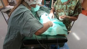 Crikey Its the Irwins S03E07 XviD-AFG EZTV