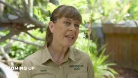 Crikey Its the Irwins S03E10 WEB h264-BAE EZTV