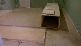 Crikey Its the Irwins S04E03 Terris Wonder Wallaby XviD-AFG EZTV