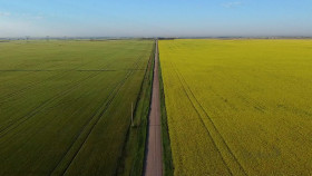 Crime Beat S04E01 Sarah and Taliyah Stolen Dreams 1080p AMZN WEB-DL DDP5 1 H 264-NTb EZTV