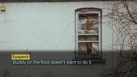 Crime Beat S05E24 The Rainbow Motel Shootout 1080p AMZN WEB-DL DDP5 1 H 264-NTb EZTV