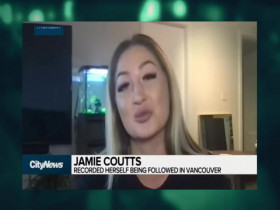 Crimes Gone Viral S02E01 Danger on the Street 480p x264-mSD EZTV