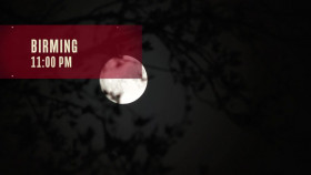 Crimes Gone Viral S03E08 720p WEB-DL AAC2 0 H264-LBR EZTV