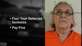 Crimes Gone Viral S05E09 XviD-AFG EZTV