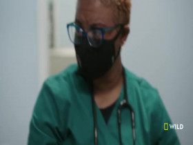 Critter Fixers Country Vets S03E04 Choc Full of Puppies 480p x264-mSD EZTV