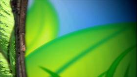 Critter Quest S01E01 1080p WEB H264-CBFM EZTV