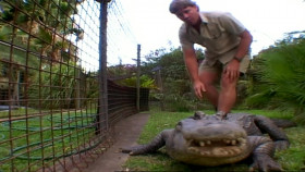Crocodile Hunter Diaries S01E12 The Big Wet 1080p AMZN WEB-DL DDP2 0 H 264-NTb EZTV