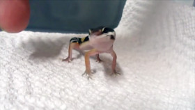 Customer Wars S04E05 1080p HEVC x265-MeGusta EZTV