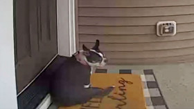 Customer Wars S04E11 1080p HEVC x265-MeGusta EZTV