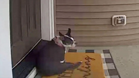 Customer Wars S04E11 1080p WEB h264-EDITH EZTV