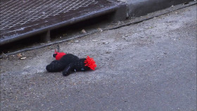 Dance Moms S09E11 1080p HEVC x265-MeGusta EZTV