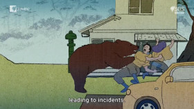 Dateline AU 2024 05 28 Bears Gone Wild 1080p HDTV H264-CBFM EZTV