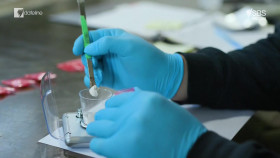 Dateline AU 2024 06 11 Canadas Fentanyl Warning 1080p HDTV H264-CBFM EZTV