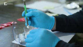 Dateline AU 2024 06 11 Canadas Fentanyl Warning XviD-AFG EZTV