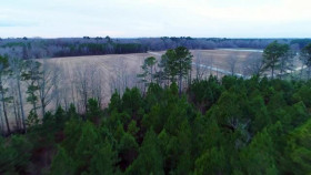 Dateline NBC 2024 05 18 Deep in the Woods XviD-AFG EZTV