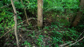 Dateline NBC 2024 09 27 The Butterfly 720p HEVC x265-MeGusta EZTV