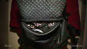 Dateline NBC 2024 11 15 Deadly Dance 1080p HEVC x265-MeGusta EZTV