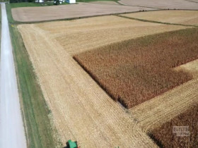 Dateline Secrets Uncovered S14E07 480p x264-mSD EZTV