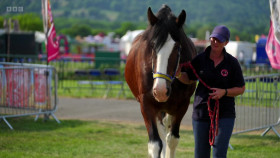 David And Jays Touring Toolshed S01E04 1080p WEBRip X264-SKYFiRE EZTV