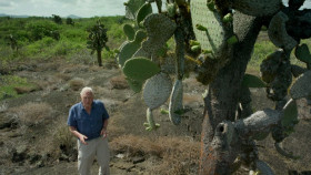 David Attenboroughs Global Adventure S01 1080p WEBRip x265 EZTV