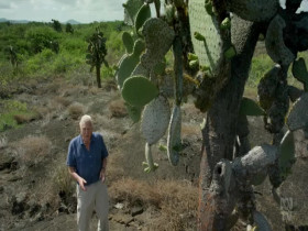 David Attenboroughs Global Adventure S01E03 480p x264-mSD EZTV