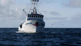 Deadliest Catch S20E03 XviD-AFG EZTV