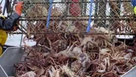 Deadliest Catch S20E04 1080p HEVC x265-MeGusta EZTV