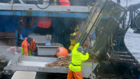 Deadliest Catch S20E04 Lights Out 720p AMZN WEB-DL DDP2 0 H 264-NTb EZTV