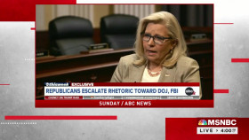 Deadline-White House with Nicolle Wallace 2022 08 22 540p WEBDL-Anon EZTV