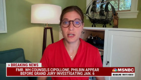 Deadline-White House with Nicolle Wallace 2022 09 02 540p WEBDL-Anon EZTV