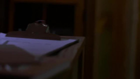 Deadly Affairs Betrayed by Love S01E03 Lust for Love XviD-AFG EZTV