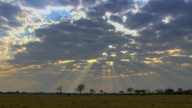 Deadly Instincts S01E03 Fear Factor HDTV x264-CBFM EZTV