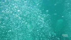 Deadly Waters with Captain Lee S01E06 XviD-AFG EZTV