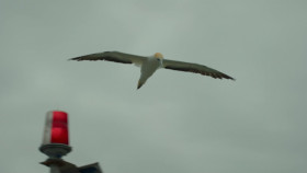 Deep Dive Australia S01E02 1080p WEB h264-EDITH EZTV