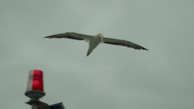 Deep Dive Australia S01E02 XviD-AFG EZTV