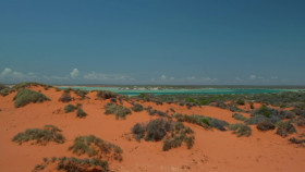 Deep Dive Australia S01E03 1080p WEB h264-EDITH EZTV