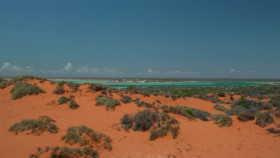 Deep Dive Australia S01E03 XviD-AFG EZTV