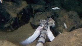 Deep Ocean S01E03 Descent into the Mariana Trench 2160p WEB h264-SKYFiRE EZTV
