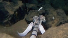Deep Ocean S01E03 Descent into the Mariana Trench 720p WEB h264-SKYFiRE EZTV