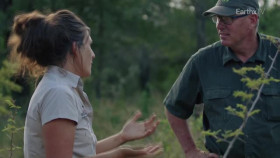 Defenders of the Wild S02E01 XviD-AFG EZTV